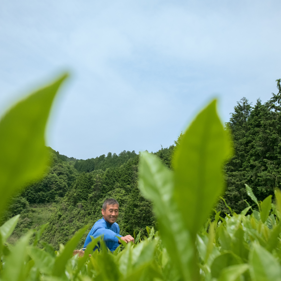 Business_Team_single